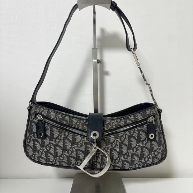 디올 디링 오블리크 새들백