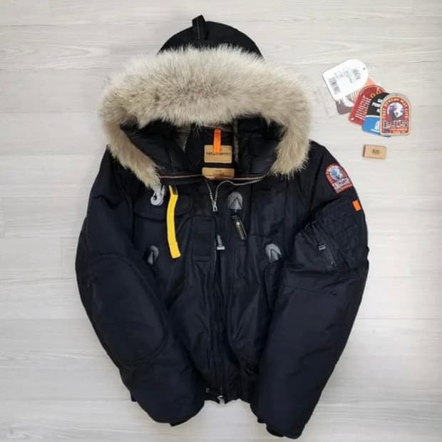 파라점퍼스 고비 마스터피스