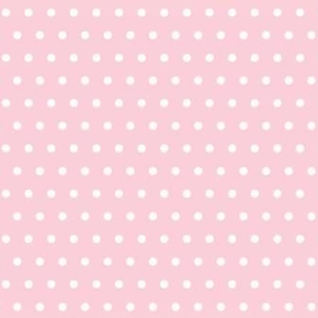 dudu님 개인 결제창