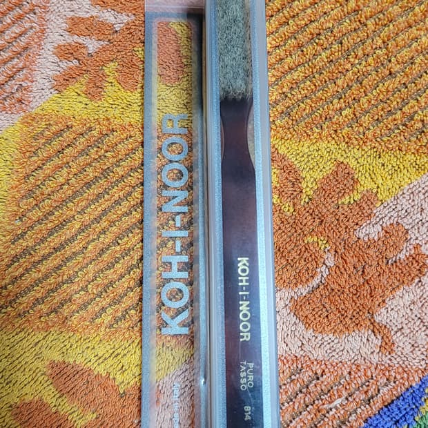 이탈리아 코이누 TASSO 천연모 칫솔(멧돼지모)