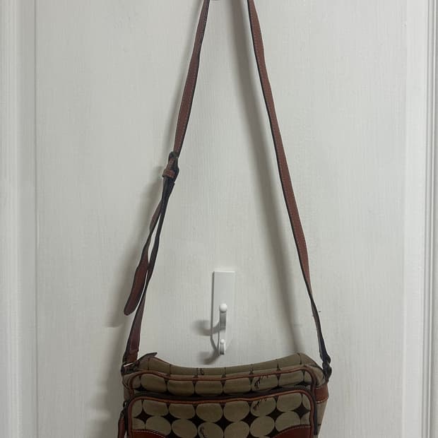 안나수이 도트 브라운 크로스백