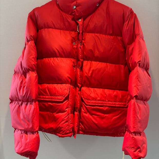 Northface Siera Down Jacket