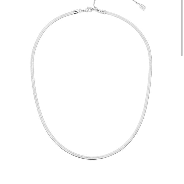 넘버링 #5748 Flat Snake Chain Necklace
