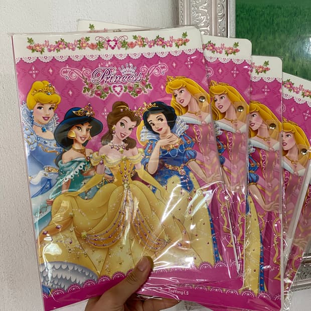 디즈니 공주 화일 5개세트