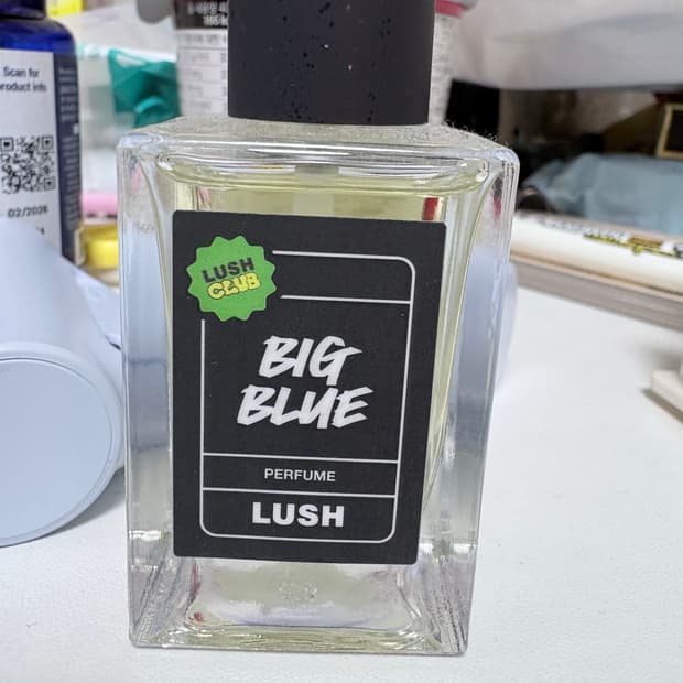 러쉬 빅블루 퍼퓸 30ml