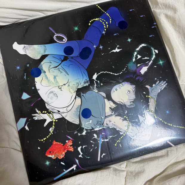 한로로 이상비행 LP