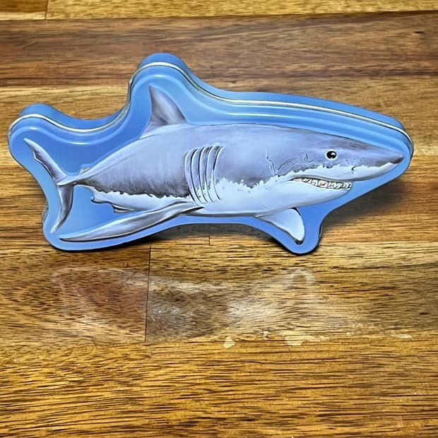 미국 상어 틴케이스