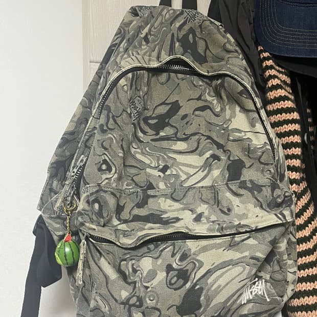 스투시 캔버스 백팩 베일 카모
