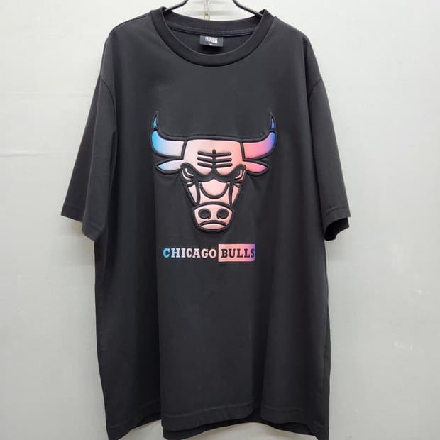 NBA 시카고 불스 그래픽 로고 반팔티 XXL(XL~2XL)