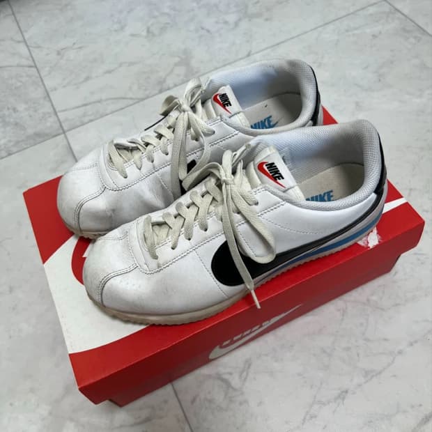 나이키 코르테즈