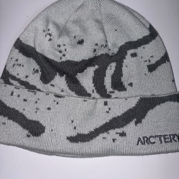 아크테릭스 비니