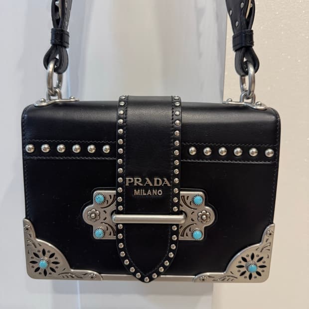 프라다 카이에백