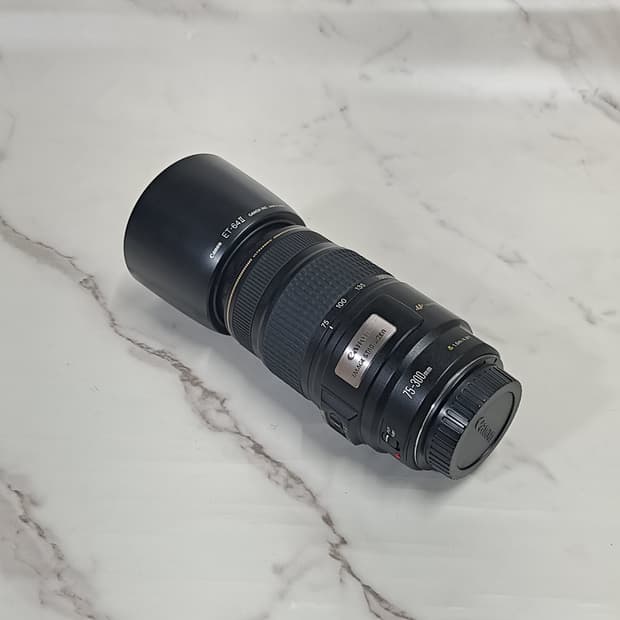 캐논 EF 75-300mm F4-5.6 IS USM 렌즈