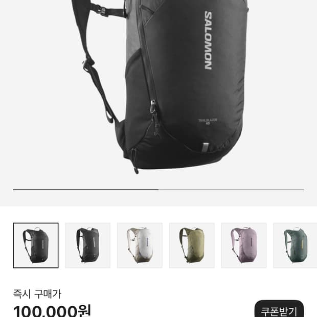 살로몬 트레일블레이저 10