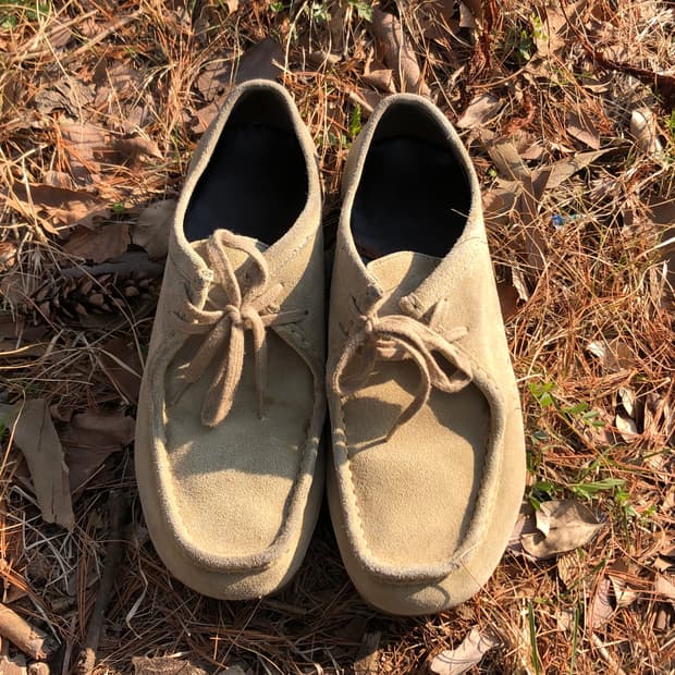 gu 왈라비 메이플