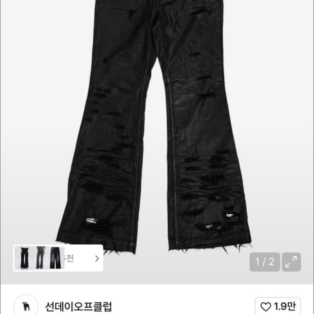 선오클) 레비지 팬츠