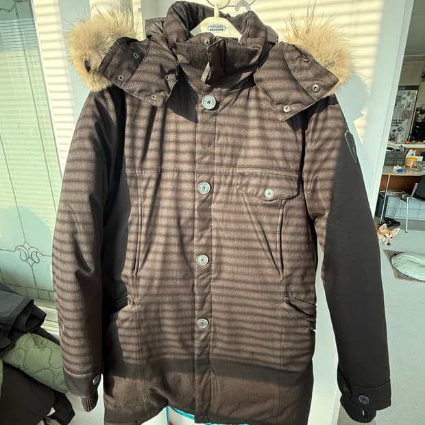 노비스 조한 라지