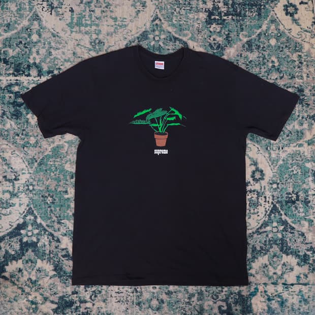 Supreme 슈프림 17FW 플랜트 반팔 티셔츠 블랙 XL