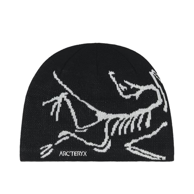 아크테릭스 비니