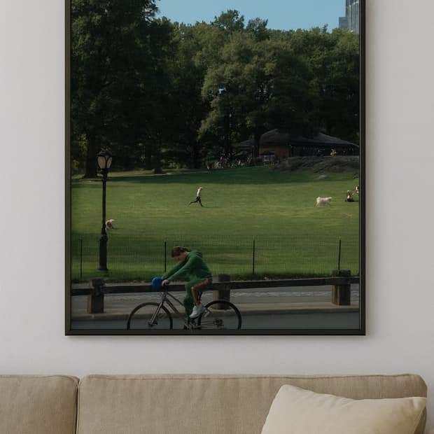 (PUL) – Central Ride Frame Poster 액자 포함