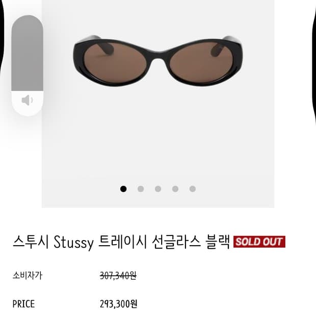 스투시 트레이시 선글라스