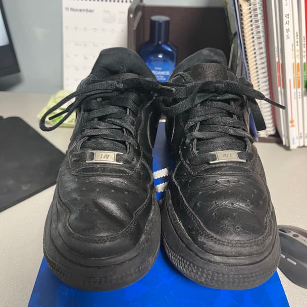 나이키 올검포스 250