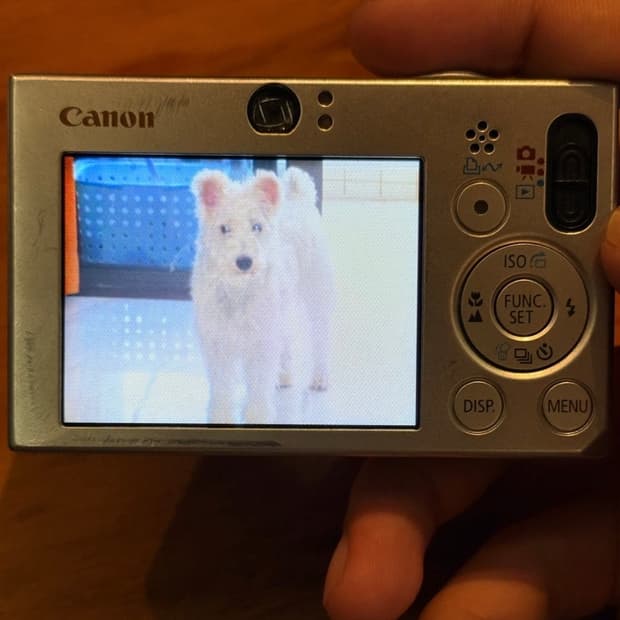 📸 캐논 IXUS 70 | 빈티지 디카 끝판왕 | CCD 감성 레전드