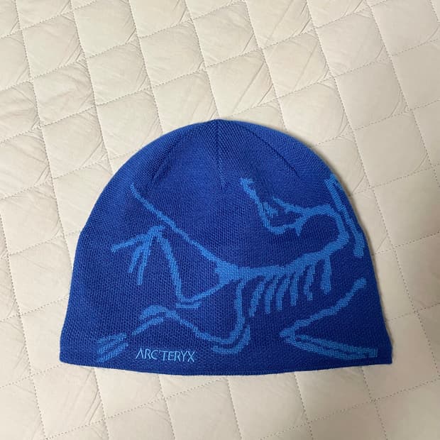 아크테릭스 비니