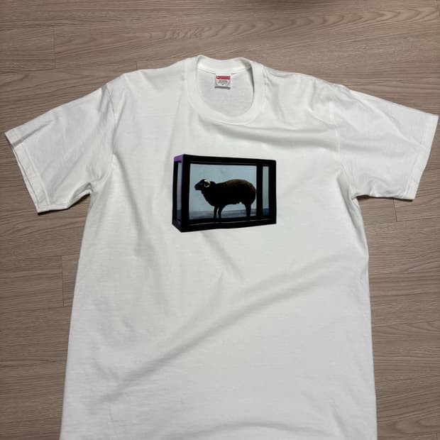 슈프림 x 데미안 허스트 티셔츠 화이트 M