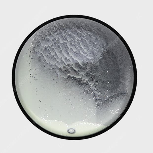 gmt HMw for summer 여름 바다 문진 거울