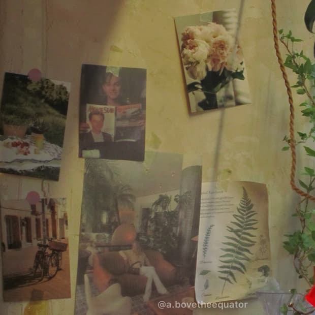 캐논 지구, 익서스, 카시오, 폴라로이드 카메라 업로드 예정 목록