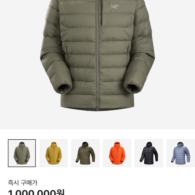 아크테릭스 토륨 포리지 2xl