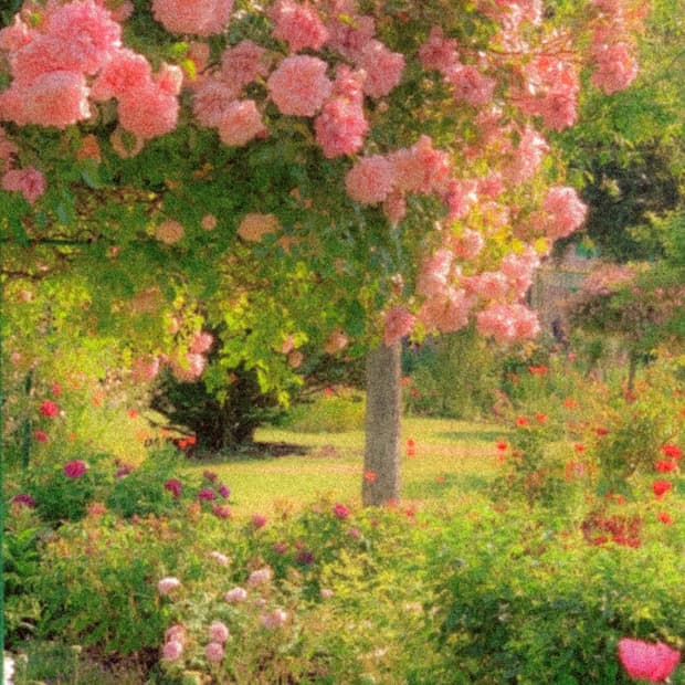 포터도트카드지갑구합니다!!