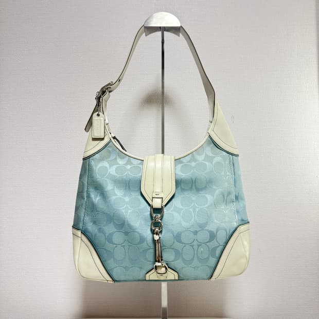 희귀⚡️레어 y2k 코치백