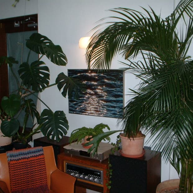 왕초보용. 셔터만 누르세요! 후지필름 a201