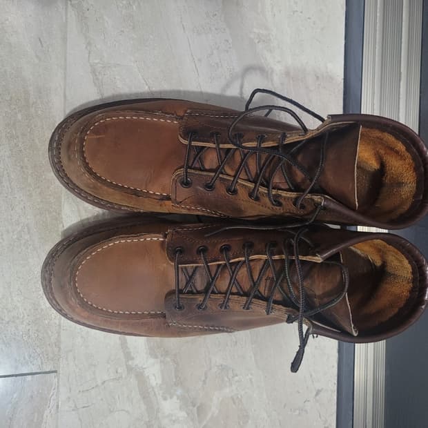 레드윙 6인치 목토 1907 270(D) 판매