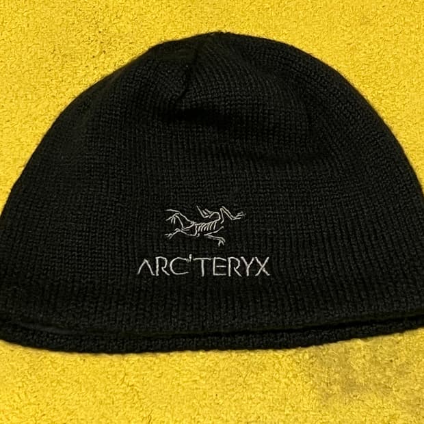 아크테릭스 비니