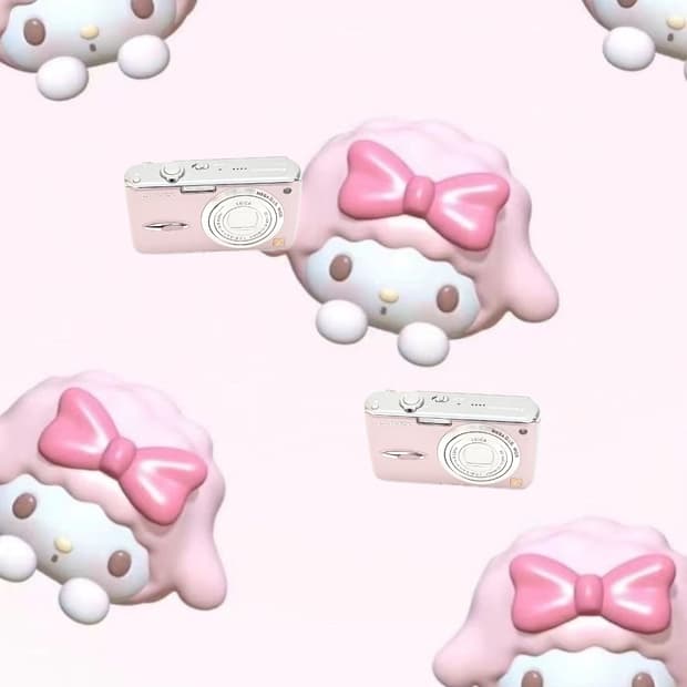 라이카&딸기우유!) Leica x Panasonic FX01 디카