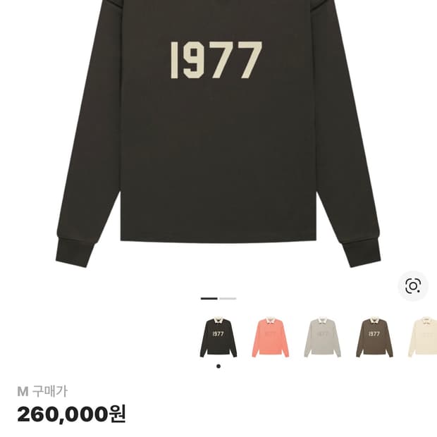 피오갓 1977 럭비티