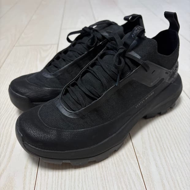 [255] 아크테릭스 버텍스 알파인 GTX