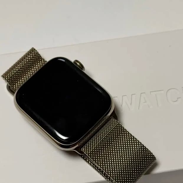 애플워치6 44mm 골드 스테인리스 gps+셀룰러