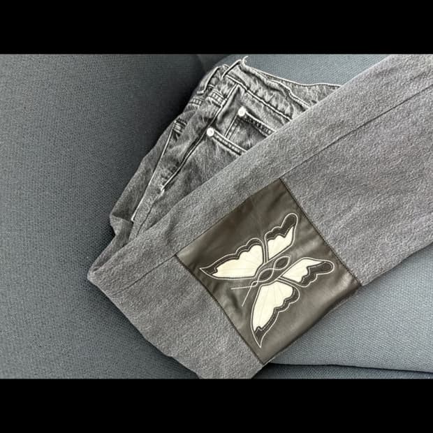 아워레가시 나비 진