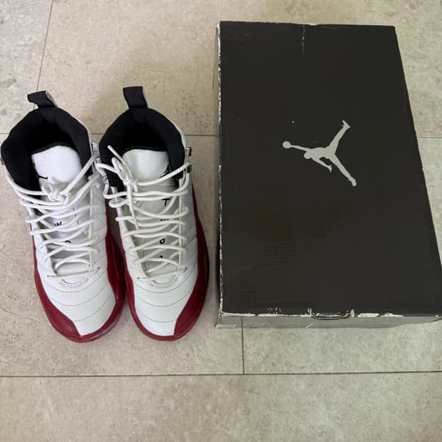 에어 조던 12 레트로 체리 gs