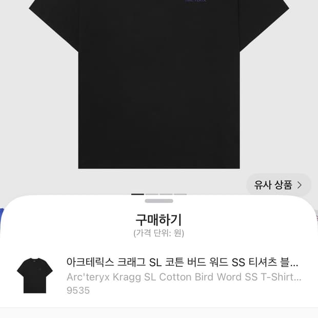 아크테릭스 크래그 SL 코튼 버드 워드 SS 티셔츠 블랙 일렉트라