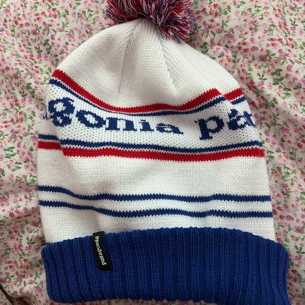 파타고니아 파우더 타운 비니