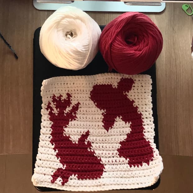 Koi Wall Hanging🎏_잉어 벽 장식