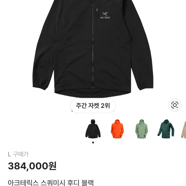 아크테릭스 스쿼미시 후디 블랙 L