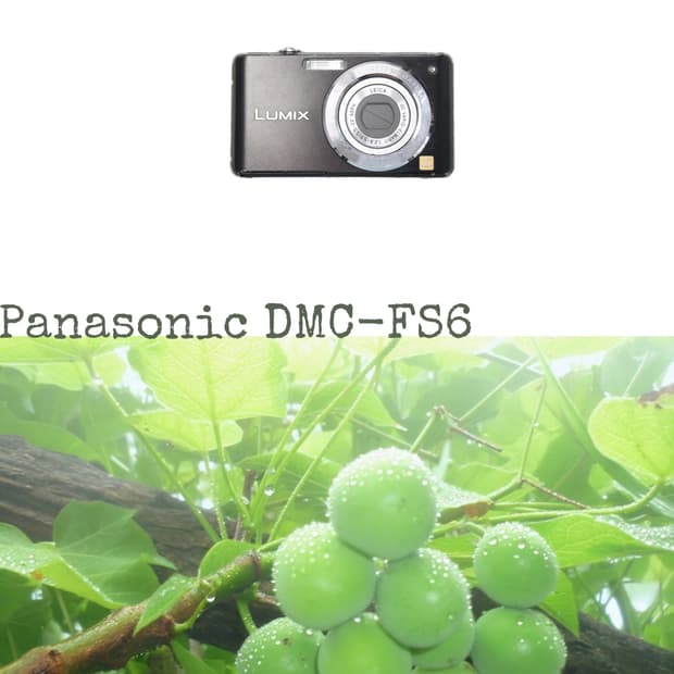 Panasonic DMC-FS6