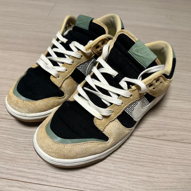 (270) 나이키 덩크로우 루티드인피스