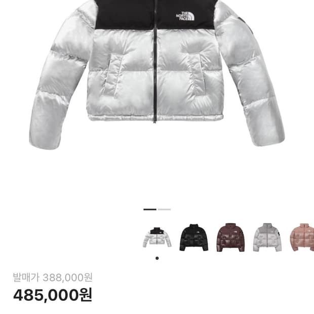 노스페이스 화이트 라벨 노벨티 눕시 다운 자켓 SE 실버